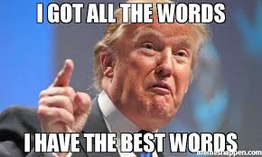 Meme of Donald Trump saying I have the best words